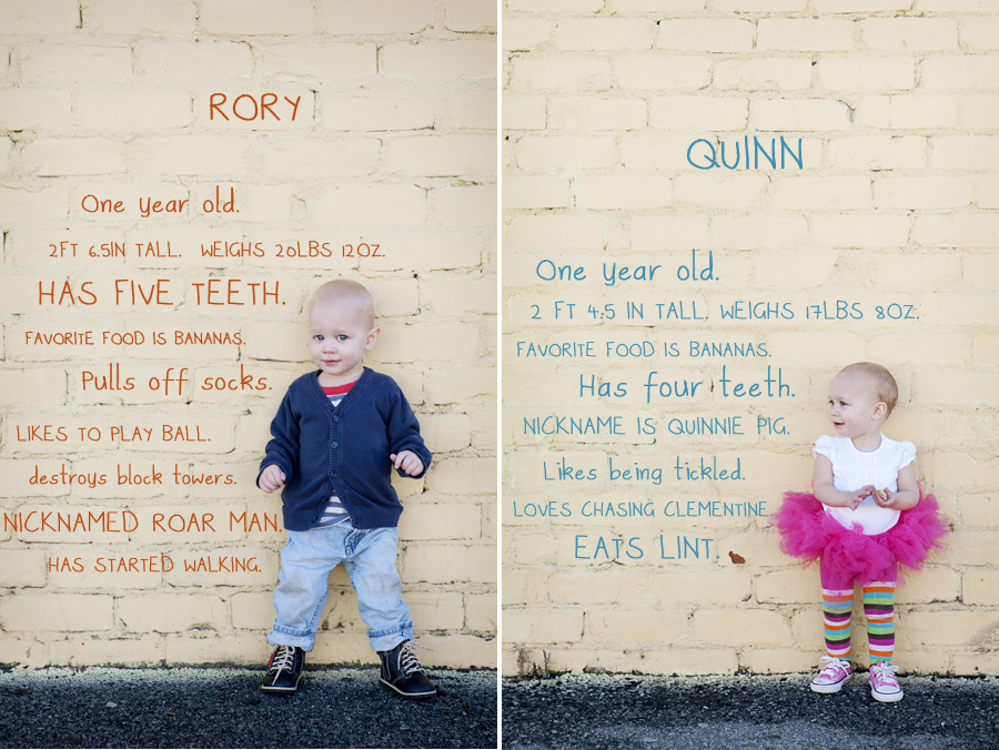 1st year portrait, twins, first year photos, monthly progression, year to year